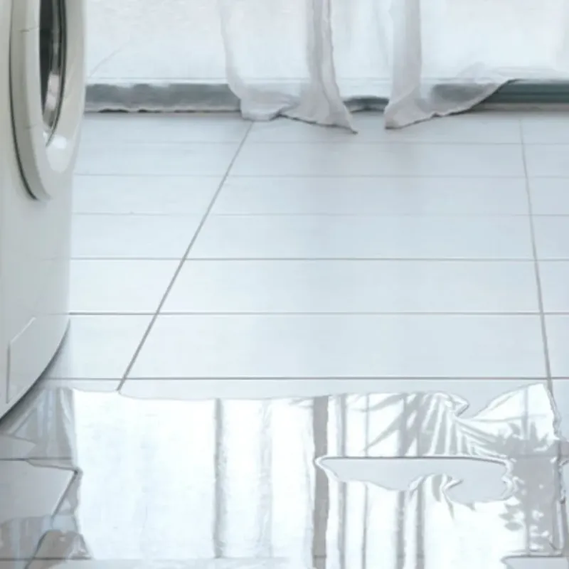 Appliance Leak Cleanup in Cloverdale, IN
