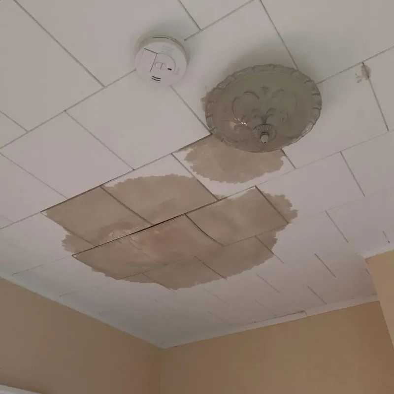 Ceiling Water Damage Repair in Cloverdale, IN