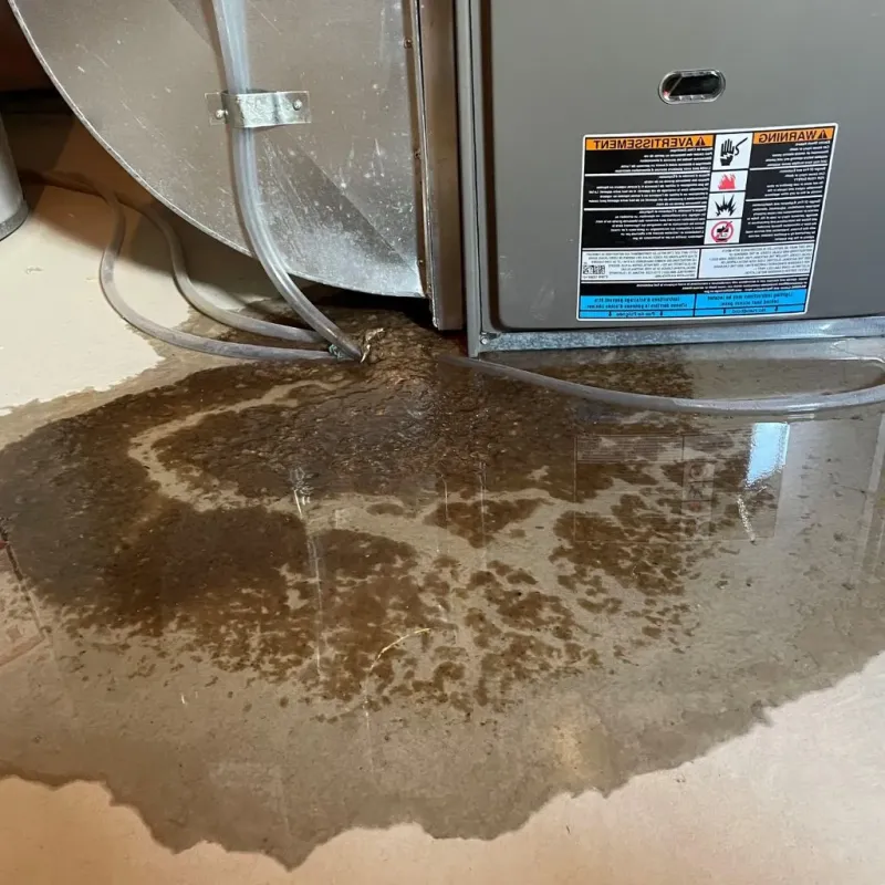 Pipe Burst and Leak Restoration in Cloverdale, IN