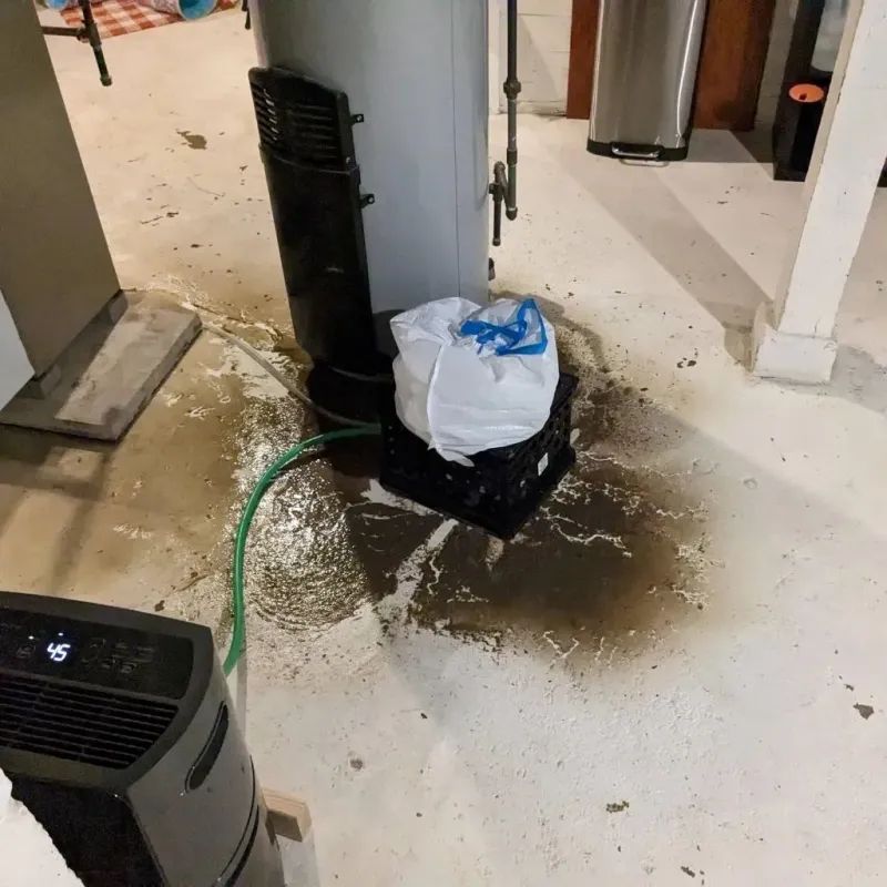 Sewage Backup Cleanup Service in Cloverdale, IN